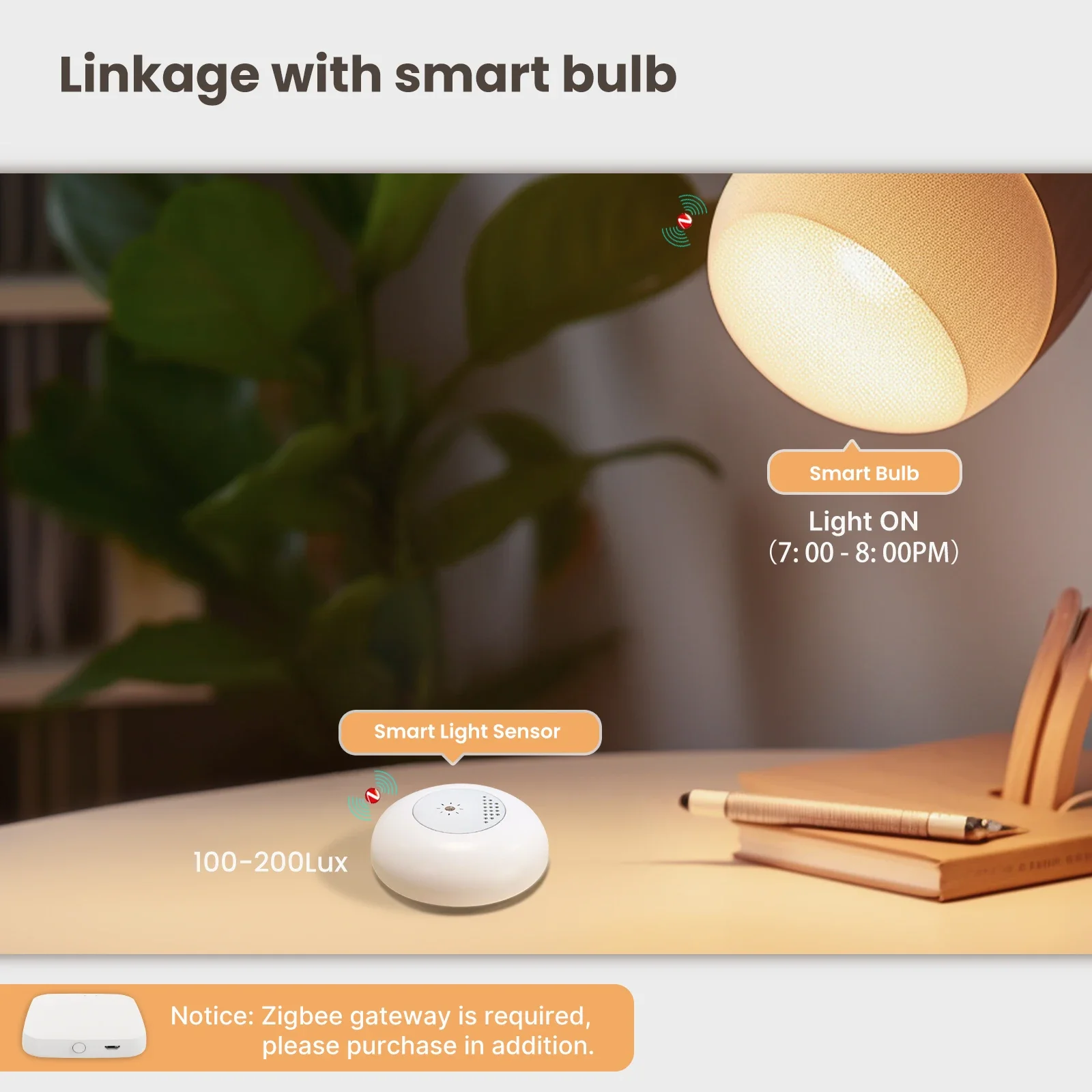 MOES Tuya Zigbee Smart Light S – Home Automation Ideas Bewertung und Preis
