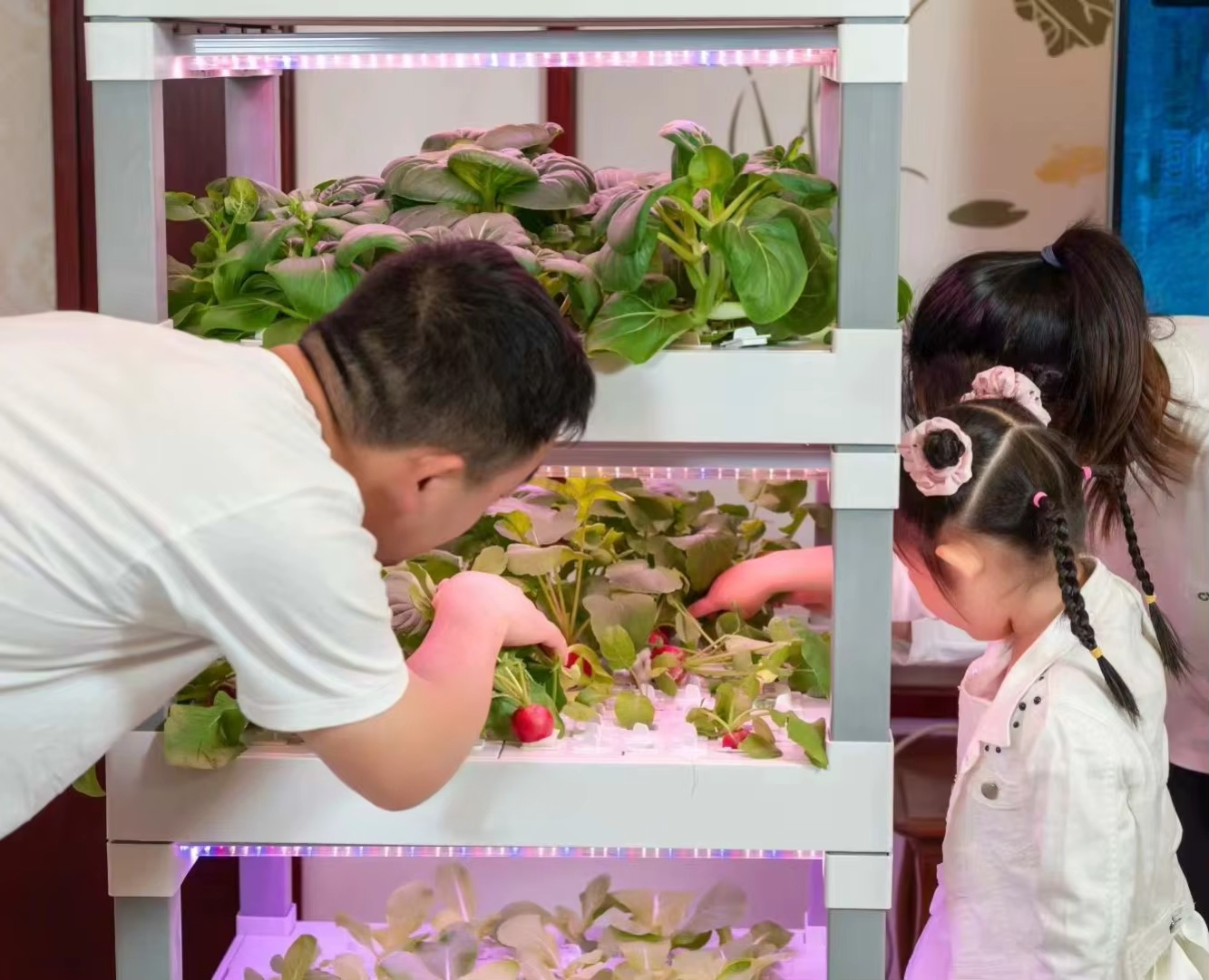 nt China Hydrokultur Grow Box  – Home Automation Systems Diy Bewertung und Preis