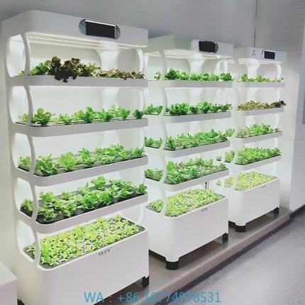 Hydroponic Automated Grow Syst – Home Automation System Diy Bewertung und Preis