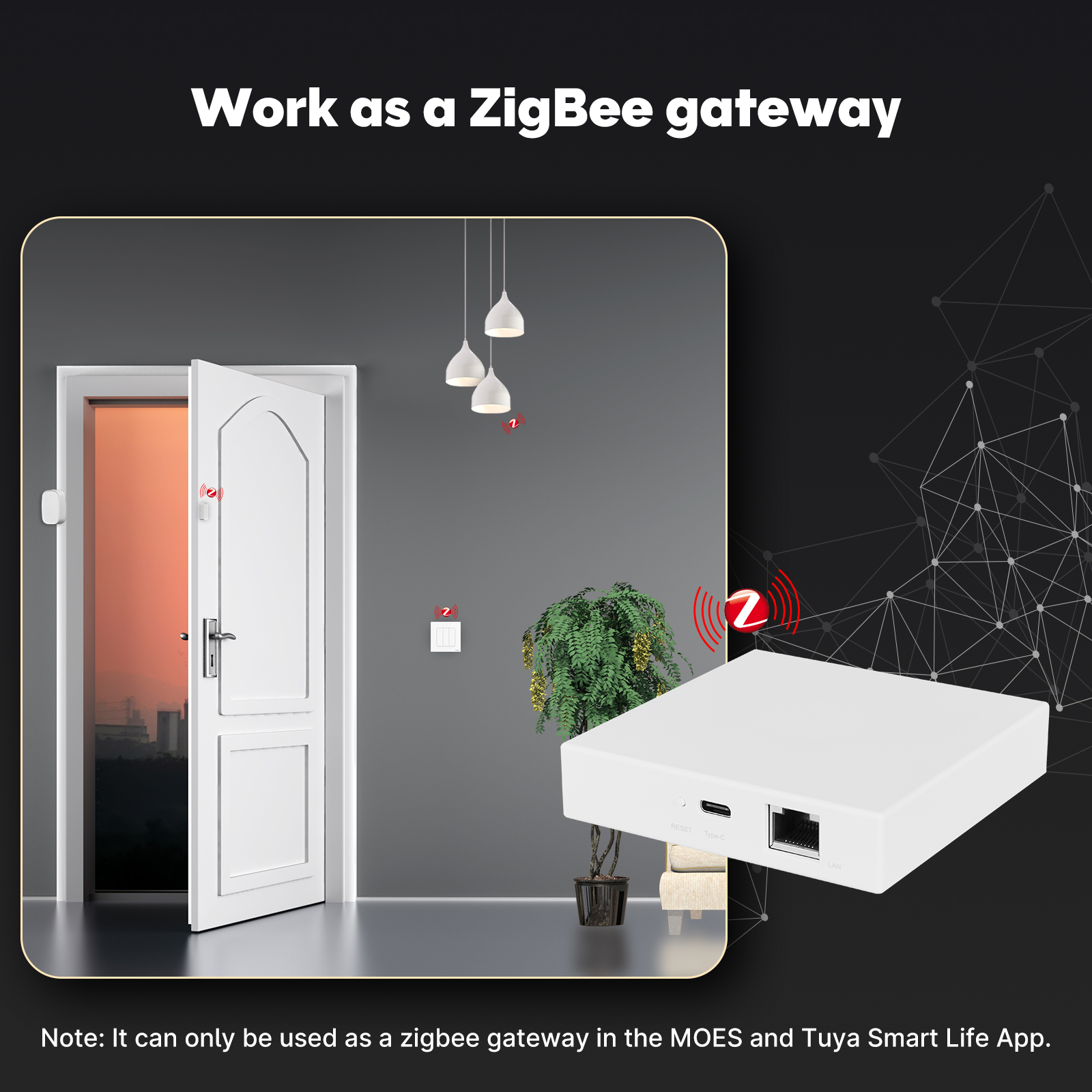 MOES Tuya ZigBee Matter Thread – Matter Hub Thread Bewertung und Preis